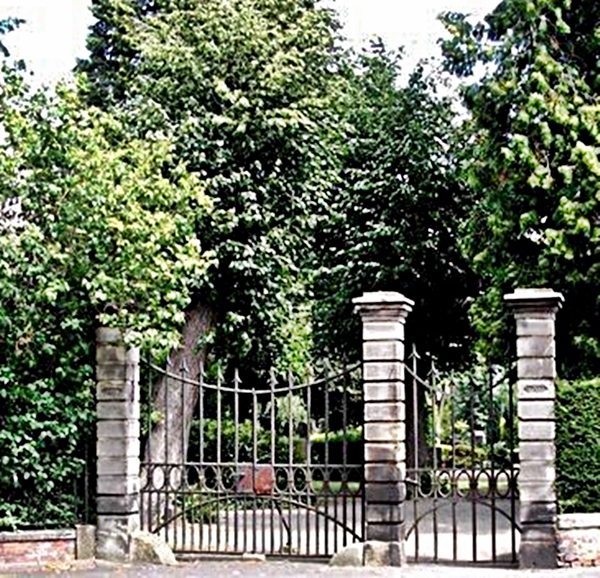 Domfriedhof